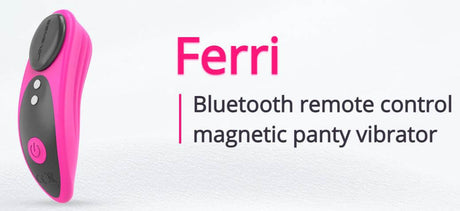 bluetooth panty vibrator