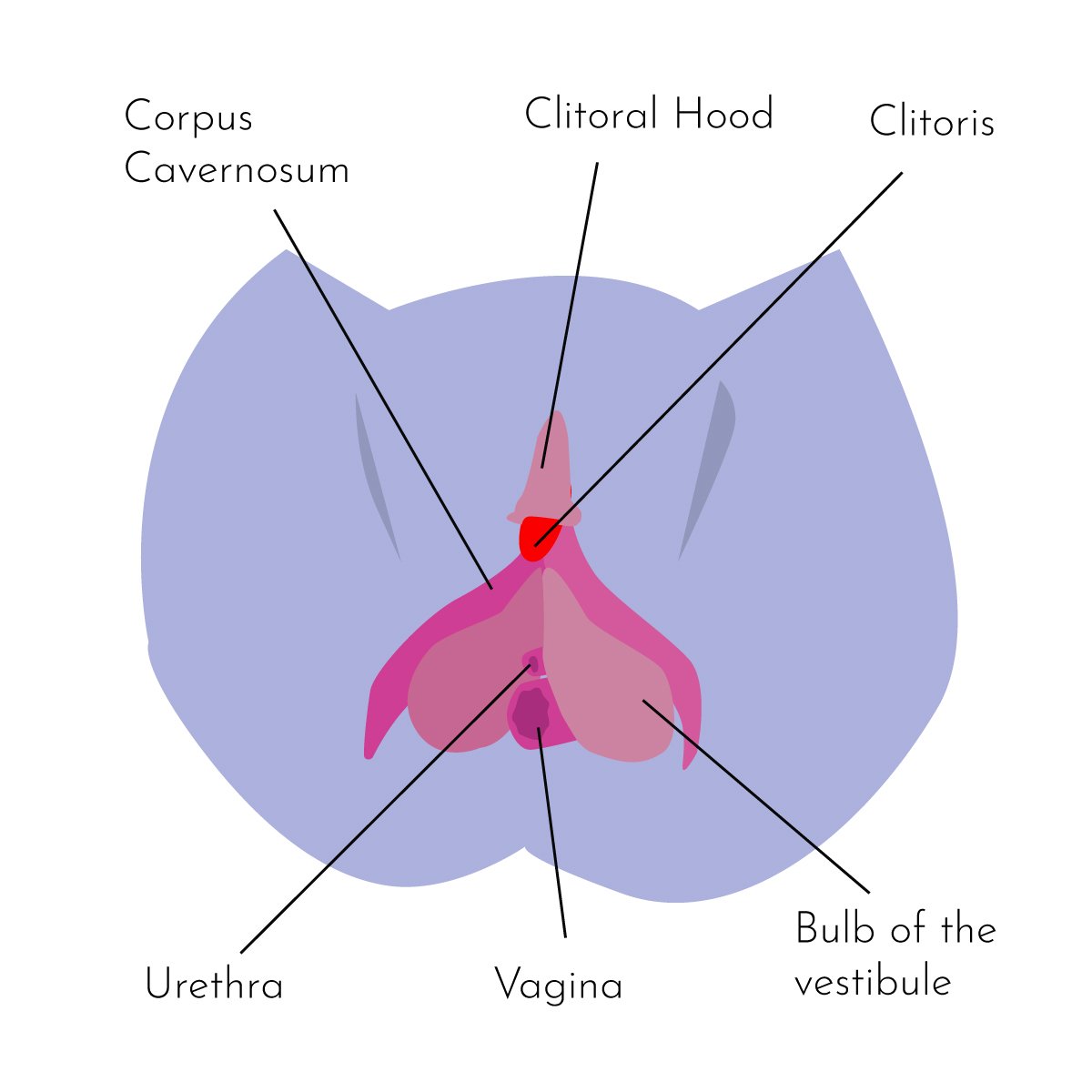 How to have a C spot orgasm?