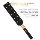 Roomfun Electric Paddle Electroplay