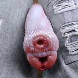 Realistic Animal Dual Channel Silicone Pocket Pussy Penis Exercise Masturbator