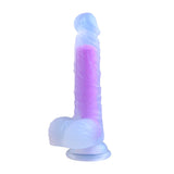 Yeain  Rainbow Color Silicone Realistic Big Dildo