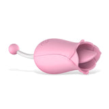 Omysky 2 in 1 Rose Style High Frequency Vibrator