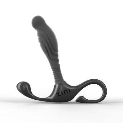 Zini Janus Lamp Prostate Stimulator