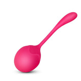 LEVETT Silicone Kegel Balls & Ben Wa Ball Massager