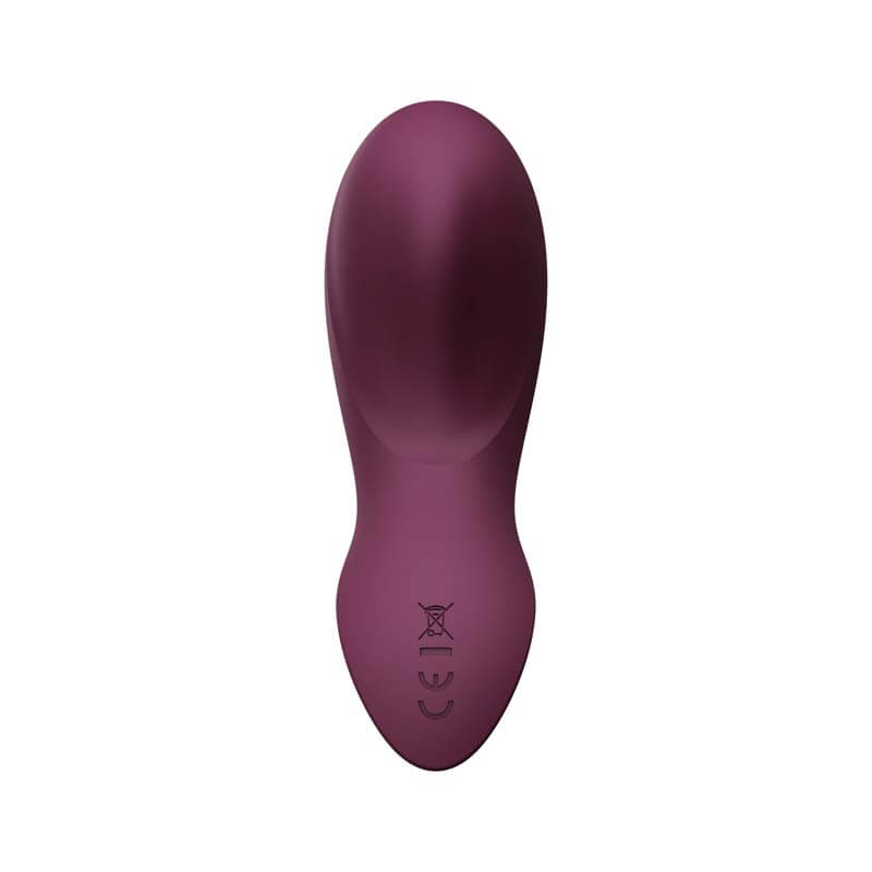 Zalo Aya App Control Multifunctional Wearable Vibrator