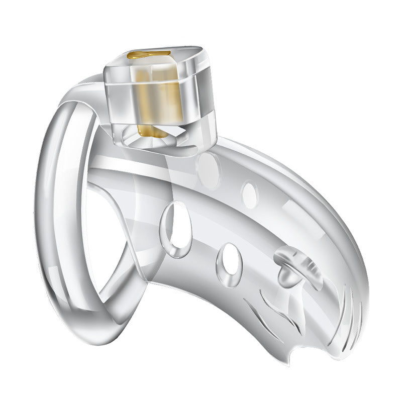 Mizzzee transparent male chastity cage